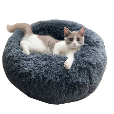 Pet Room