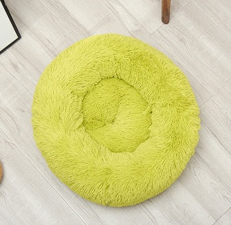 Pet Room