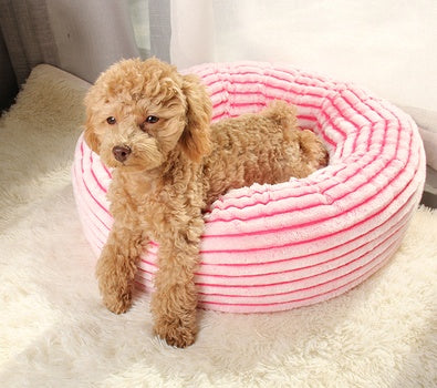 Pet Room
